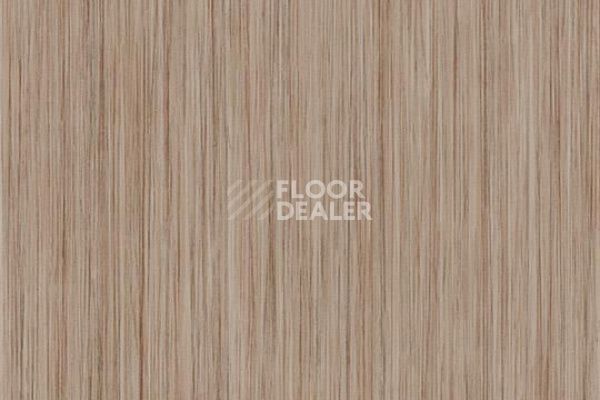 Плитка ПВХ Forbo Allura Decibel 8SE13-3SE13 natural seagrass фото 1 | FLOORDEALER